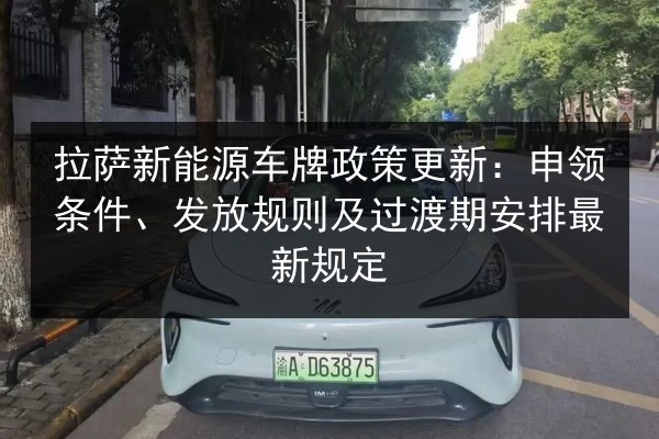 拉萨新能源车牌政策更新:申领条件、发放规则及过渡期安排最新规定 第2张 拉萨新能源车牌政策更新:申领条件、发放规则及过渡期安排最新规定 第2张