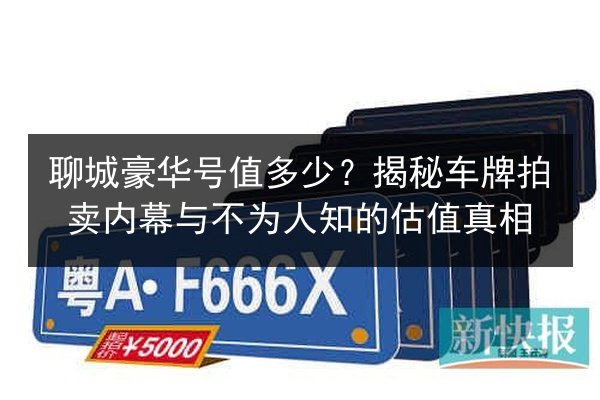 聊城豪华号值多少?揭秘车牌拍卖内幕与不为人知的估值真相 第1张 聊城豪华号值多少?揭秘车牌拍卖内幕与不为人知的估值真相 第1张