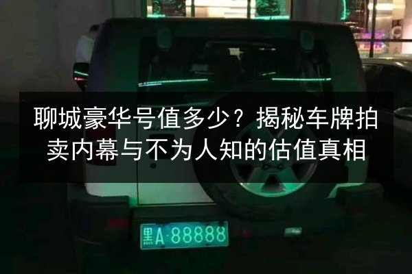 聊城豪华号值多少?揭秘车牌拍卖内幕与不为人知的估值真相 第2张 聊城豪华号值多少?揭秘车牌拍卖内幕与不为人知的估值真相 第2张
