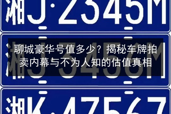 聊城豪华号值多少?揭秘车牌拍卖内幕与不为人知的估值真相 第3张 聊城豪华号值多少?揭秘车牌拍卖内幕与不为人知的估值真相 第3张