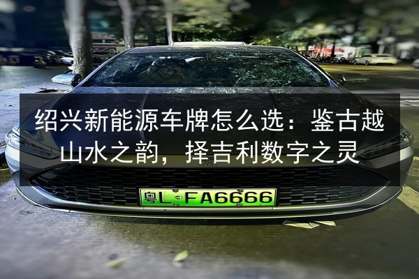 绍兴新能源车牌怎么选:鉴古越山水之韵,择吉利数字之灵 第2张 绍兴新能源车牌怎么选:鉴古越山水之韵,择吉利数字之灵 第2张