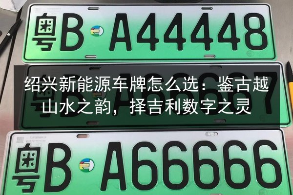 绍兴新能源车牌怎么选:鉴古越山水之韵,择吉利数字之灵 第3张 绍兴新能源车牌怎么选:鉴古越山水之韵,择吉利数字之灵 第3张