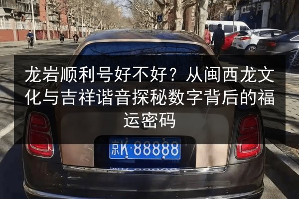 龙岩顺利号好不好?从闽西龙文化与吉祥谐音探秘数字背后的福运密码 第2张 龙岩顺利号好不好?从闽西龙文化与吉祥谐音探秘数字背后的福运密码 第2张