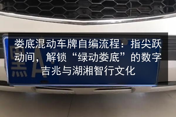 娄底混动车牌自编流程：指尖跃动间，解锁“绿动娄底”的数字吉兆与湖湘智行文化