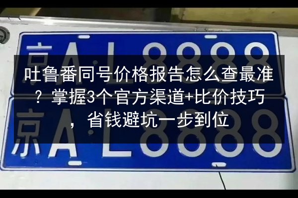 吐鲁番同号价格报告怎么查最准？掌握3个官方渠道+比价技巧，省钱避坑一步到位