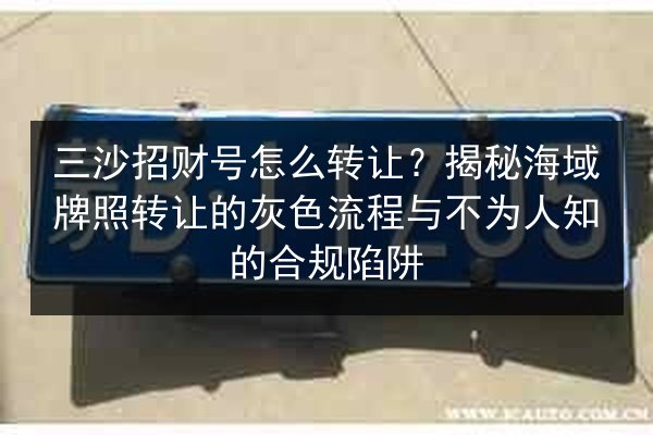 三沙招财号怎么转让？揭秘海域牌照转让的灰色流程与不为人知的合规陷阱