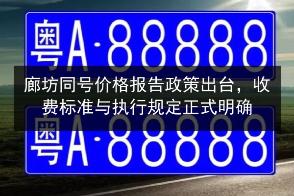 廊坊同号价格报告政策出台，收费标准与执行规定正式明确