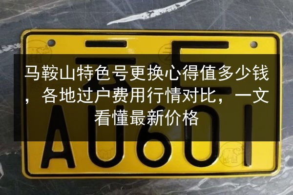 马鞍山特色号更换心得值多少钱，各地过户费用行情对比，一文看懂最新价格