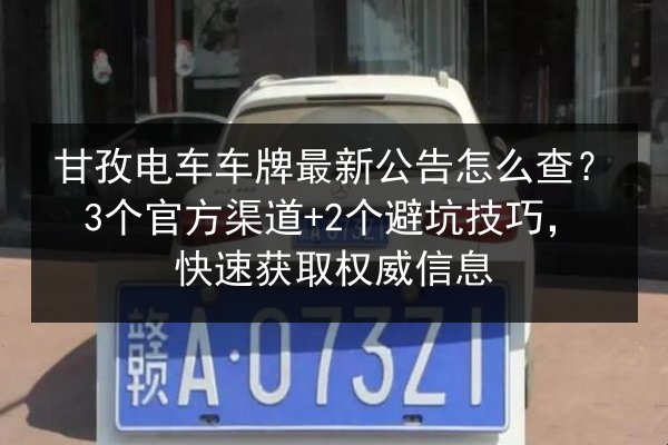 甘孜电车车牌最新公告怎么查？3个官方渠道+2个避坑技巧，快速获取权威信息