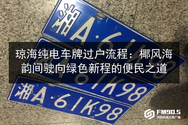 琼海纯电车牌过户流程：椰风海韵间驶向绿色新程的便民之道 第2张