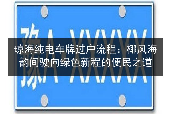 琼海纯电车牌过户流程：椰风海韵间驶向绿色新程的便民之道 第3张