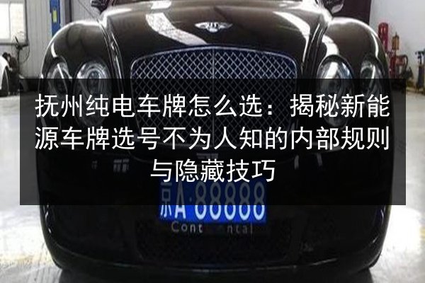 抚州纯电车牌怎么选：揭秘新能源车牌选号不为人知的内部规则与隐藏技巧