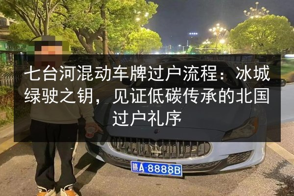 七台河混动车牌过户流程:冰城绿驶之钥,见证低碳传承的北国过户礼序 第2张 七台河混动车牌过户流程:冰城绿驶之钥,见证低碳传承的北国过户礼序 第2张
