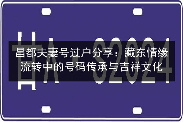 昌都夫妻号过户分享：藏东情缘流转中的号码传承与吉祥文化 第2张