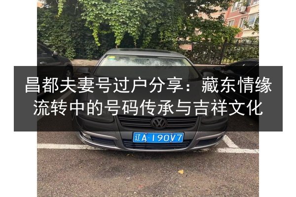 昌都夫妻号过户分享：藏东情缘流转中的号码传承与吉祥文化 第3张