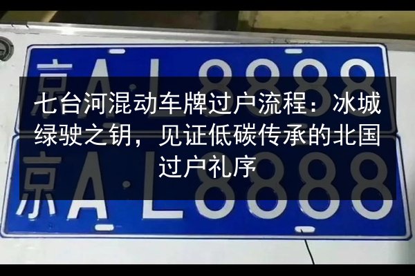 七台河混动车牌过户流程:冰城绿驶之钥,见证低碳传承的北国过户礼序 第3张 七台河混动车牌过户流程:冰城绿驶之钥,见证低碳传承的北国过户礼序 第3张