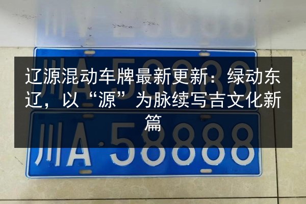 辽源混动车牌最新更新：绿动东辽，以“源”为脉续写吉文化新篇 第2张