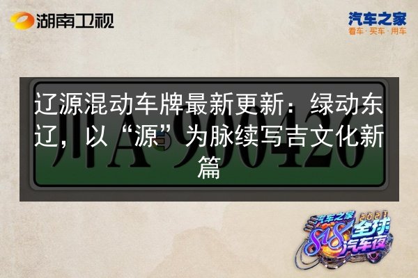 辽源混动车牌最新更新：绿动东辽，以“源”为脉续写吉文化新篇 第3张