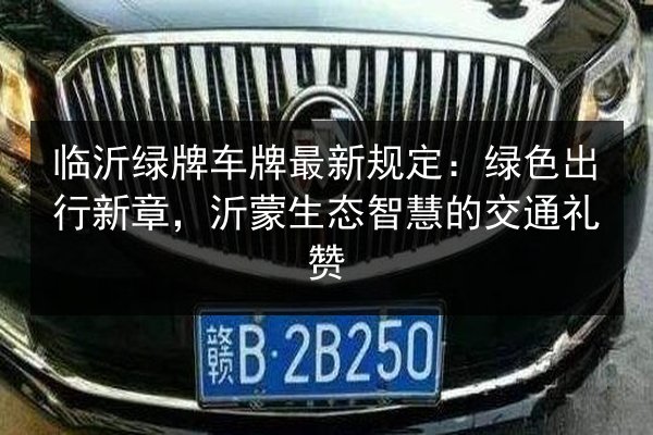 临沂绿牌车牌最新规定：绿色出行新章，沂蒙生态智慧的交通礼赞 第2张
