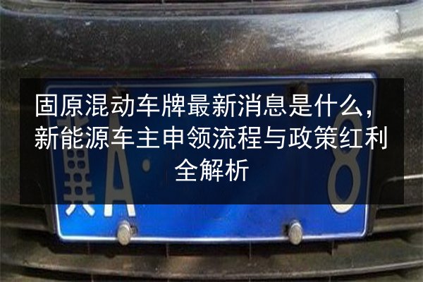 固原混动车牌最新消息是什么,新能源车主申领流程与政策红利全解析 第2张 固原混动车牌最新消息是什么,新能源车主申领流程与政策红利全解析 第2张