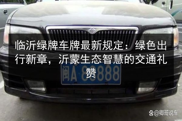 临沂绿牌车牌最新规定：绿色出行新章，沂蒙生态智慧的交通礼赞 第3张