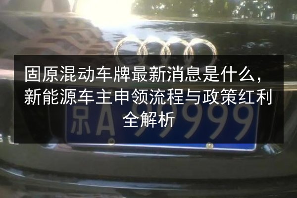 固原混动车牌最新消息是什么,新能源车主申领流程与政策红利全解析 第3张 固原混动车牌最新消息是什么,新能源车主申领流程与政策红利全解析 第3张