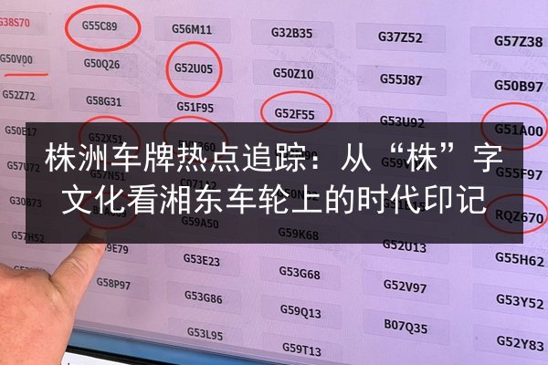 株洲车牌热点追踪：从“株”字文化看湘东车轮上的时代印记