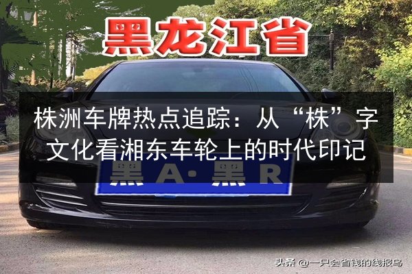 株洲车牌热点追踪：从“株”字文化看湘东车轮上的时代印记 第2张