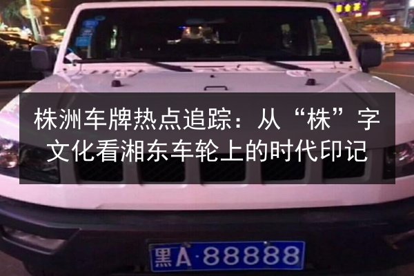 株洲车牌热点追踪：从“株”字文化看湘东车轮上的时代印记 第3张