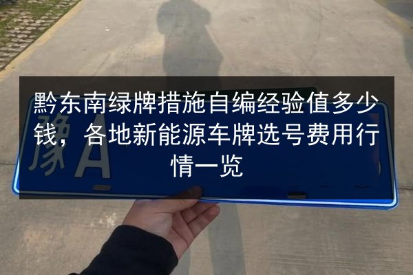 黔东南绿牌措施自编经验值多少钱,各地新能源车牌选号费用行情一览 第2张 黔东南绿牌措施自编经验值多少钱,各地新能源车牌选号费用行情一览 第2张