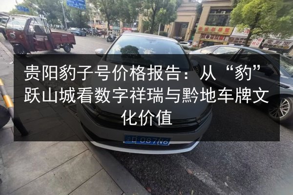 贵阳豹子号价格报告：从“豹”跃山城看数字祥瑞与黔地车牌文化价值