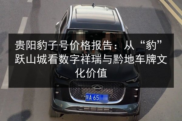 贵阳豹子号价格报告：从“豹”跃山城看数字祥瑞与黔地车牌文化价值 第3张