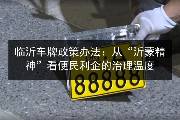 临沂车牌政策办法：从“沂蒙精神”看便民利企的治理温度 第2张
