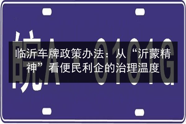 临沂车牌政策办法：从“沂蒙精神”看便民利企的治理温度 第3张