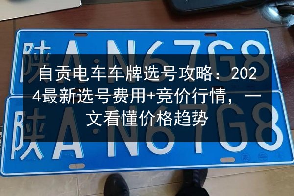 自贡电车车牌选号攻略：2024最新选号费用+竞价行情，一文看懂价格趋势
