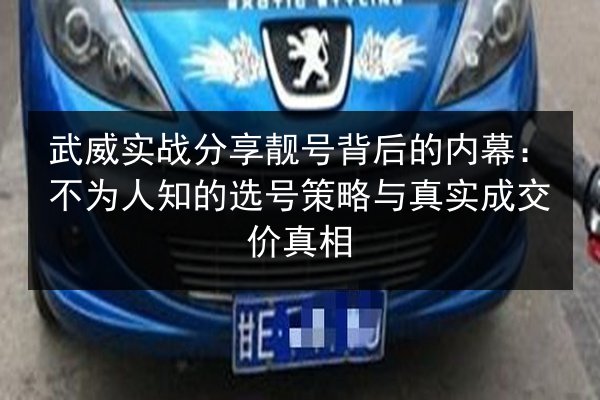 武威实战分享靓号背后的内幕：不为人知的选号策略与真实成交价真相