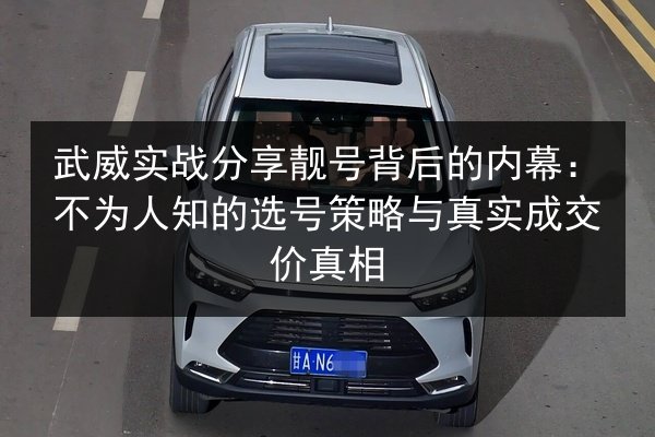 武威实战分享靓号背后的内幕:不为人知的选号策略与真实成交价真相 第2张 武威实战分享靓号背后的内幕:不为人知的选号策略与真实成交价真相 第2张