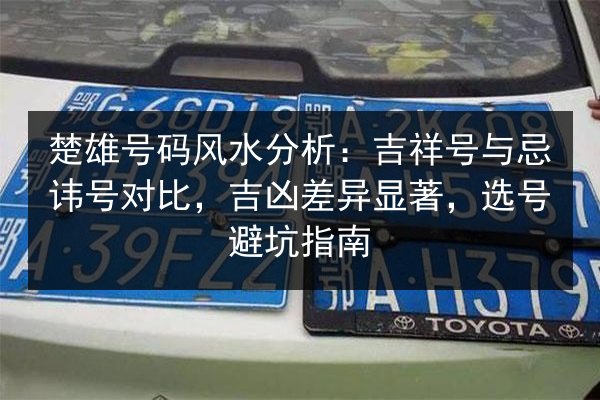 楚雄号码风水分析：吉祥号与忌讳号对比，吉凶差异显著，选号避坑指南 第2张