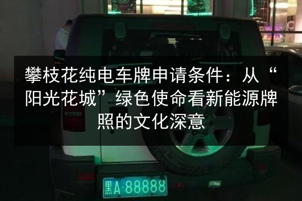 攀枝花纯电车牌申请条件：从“阳光花城”绿色使命看新能源牌照的文化深意