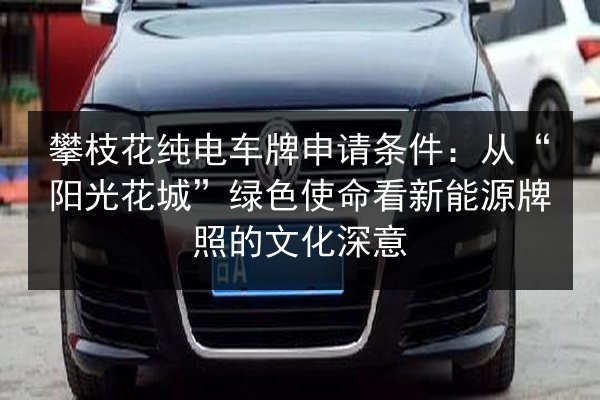 攀枝花纯电车牌申请条件:从“阳光花城”绿色使命看新能源牌照的文化深意 第2张 攀枝花纯电车牌申请条件:从“阳光花城”绿色使命看新能源牌照的文化深意 第2张