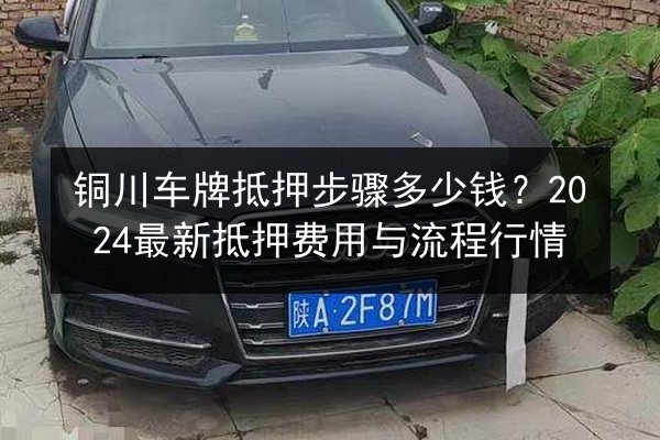 铜川车牌抵押步骤多少钱？2024最新抵押费用与流程行情 第2张