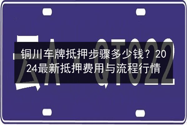 铜川车牌抵押步骤多少钱？2024最新抵押费用与流程行情 第3张