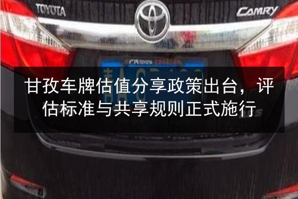甘孜车牌估值分享政策出台,评估标准与共享规则正式施行 第3张 甘孜车牌估值分享政策出台,评估标准与共享规则正式施行 第3张