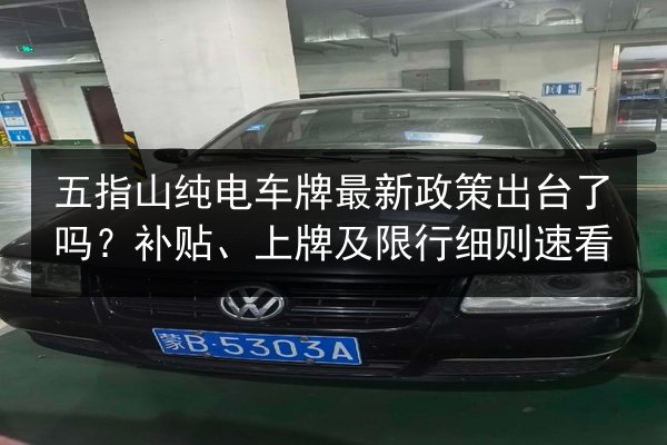 五指山纯电车牌最新政策出台了吗？补贴、上牌及限行细则速看 第2张