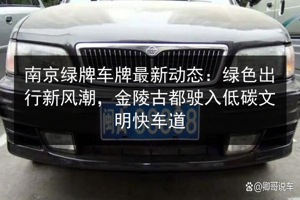 南京绿牌车牌最新动态：绿色出行新风潮，金陵古都驶入低碳文明快车道 第3张