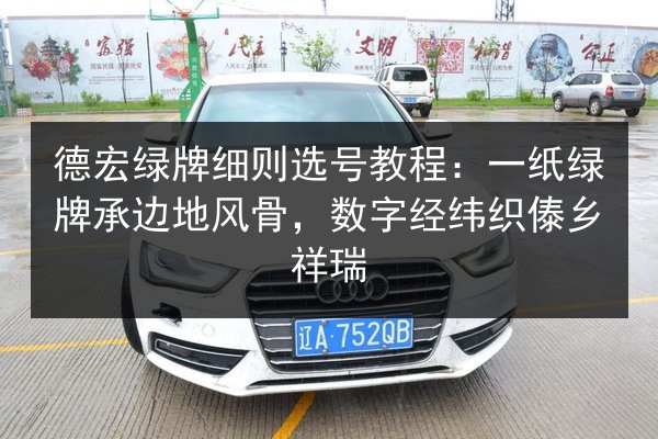 德宏绿牌细则选号教程：一纸绿牌承边地风骨，数字经纬织傣乡祥瑞