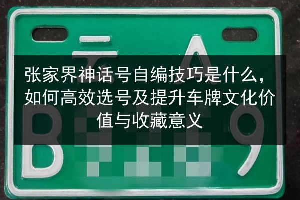 张家界神话号自编技巧是什么,如何高效选号及提升车牌文化价值与收藏意义 第2张 张家界神话号自编技巧是什么,如何高效选号及提升车牌文化价值与收藏意义 第2张