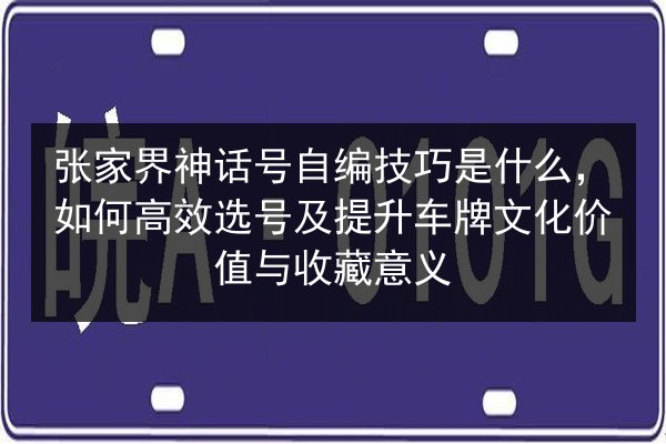 张家界神话号自编技巧是什么,如何高效选号及提升车牌文化价值与收藏意义 第3张 张家界神话号自编技巧是什么,如何高效选号及提升车牌文化价值与收藏意义 第3张