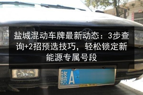 盐城混动车牌最新动态:3步查询+2招预选技巧,轻松锁定新能源专属号段 第2张 盐城混动车牌最新动态:3步查询+2招预选技巧,轻松锁定新能源专属号段 第2张