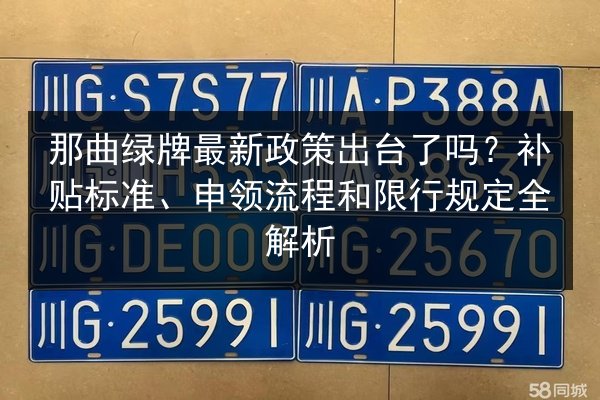 那曲绿牌最新政策出台了吗？补贴标准、申领流程和限行规定全解析 第3张